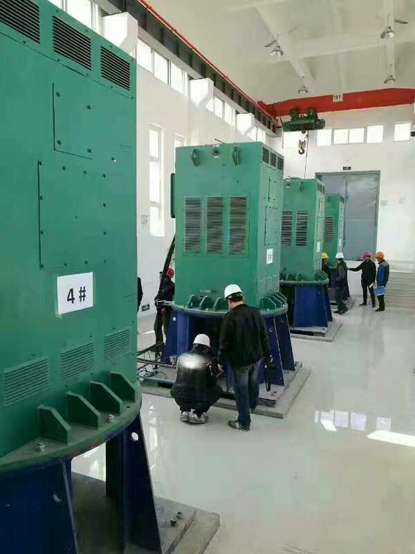 淮南某污水处理厂使用我厂的立式高压电机安装现场