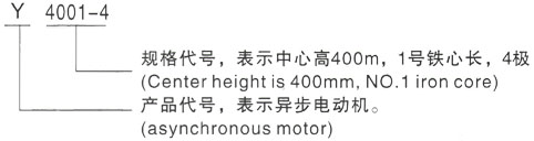 西安泰富西玛Y系列(H355-1000)高压淮南三相异步电机型号说明